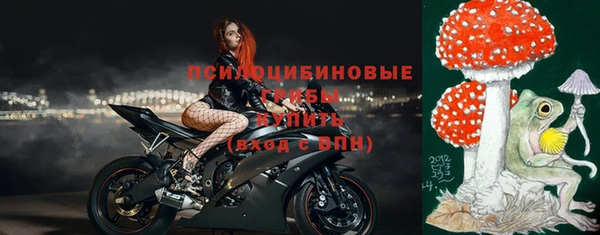 хмурый Богородск