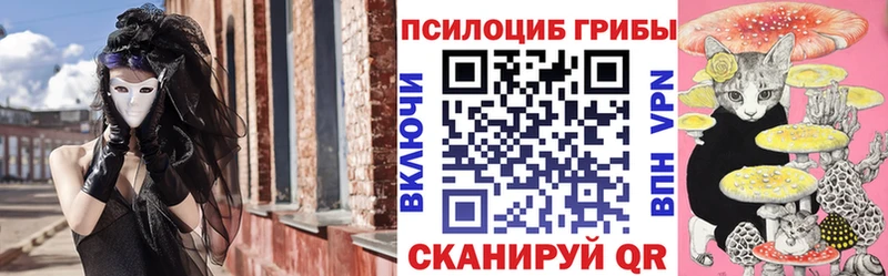 блэк спрут ССЫЛКА  Стрежевой  Псилоцибиновые грибы Cubensis 